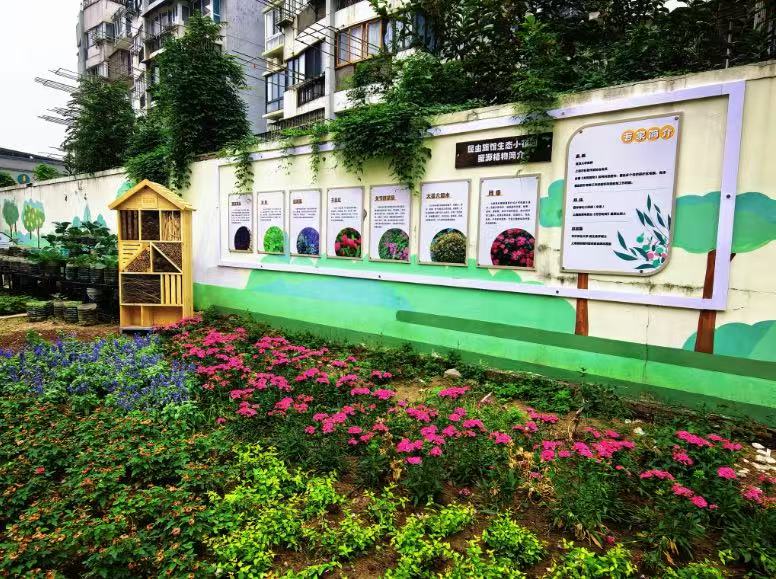 images/1761398628868_33566455452418054.jpg 1.jpg