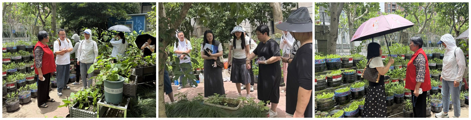 微信图片_20250714152823_副本.jpg